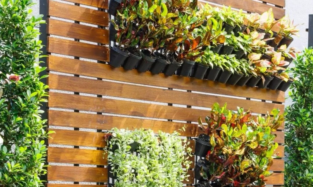 Com fer un jardí vertical a la teva casa?