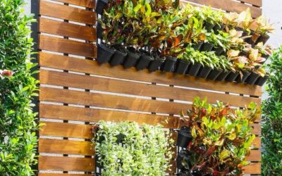 Com fer un jardí vertical a la teva casa?