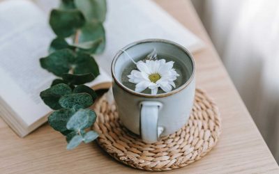 Plantes aromàtiques i plantes per a infusions: Una guia completa per a gaudir dels seus beneficis