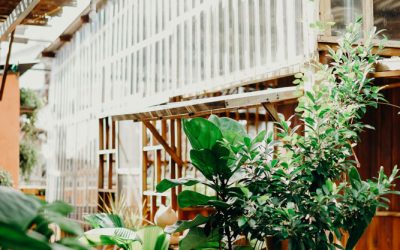 Jardineria Comercial: Millora l’estètica dels teus espais exteriors.