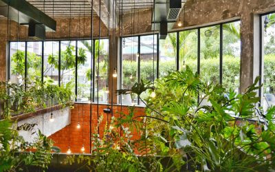 Jardineria Urbana: Transforma el teu Espai en un Oasi Verd